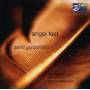 David Gordon - Angel Feet