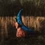 holly Miranda - Mutual Horse