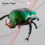 Roman Flgel - fabric 95: Roman Flgel