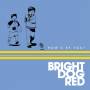 Bright Dog Red - Hows By You