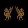 Joey Cape - Liverbirds