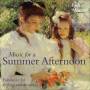 V / a - Music For A Summer Afternoon