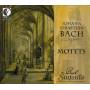 The Bach Sinfonia - Motetten
