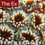 The Ex & Brass Unbound - Enormous Door