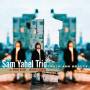 Sam Yahel - Truth And Beauty