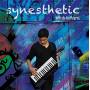 nitish Kulkarni - Synesthetic