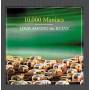 10. 000 Maniacs - LOVE AMONG THE RUINS