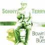 Sonny Terry - Blowin' The Blues