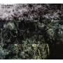Ehnahre - Old Earth