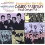 Various - Remember Me Baby-Cameo Parkway Vocal Groups Vol.