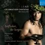 Alexander Grychtolik / Deutsche Hofmusik - Celebration Cantatas BWV 205a & 249a - Entfliehet