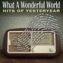 What A Wonderful World: The Hits Of / Various - What A Wonderful World: The Hits Of / Various