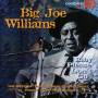 Big Joe Williams - Baby Please Don'T Go