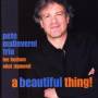 Pete Malinverni - Beautiful Thing