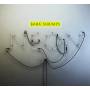 Baba Shrimps - Neon