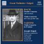 Frank Peter Zimmermann - Violinkonzerte