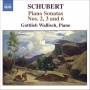 Gottlieb Wallisch - Klaviersonaten 2,3+6