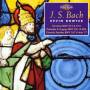 Kevin Bowyer - Organ Works Vol.13
