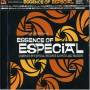 Especial Records Presents Essence Of Es / Var - Especial Records Presents Essence Of Es / Var