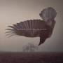 Katatonia - The Fall Of Hearts (Digipak)