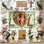 Jackie Oates / Megan Henwood - Wings