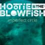 Hootie & The Blowfish - Imperfect Circle (vinyl)