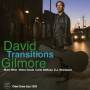 David Gilmore - Transitions
