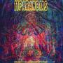 Eleven Paranoias - Reliquary For A Dreamed Of World