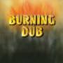 Revolutionaries - Burning Dub (180 Gram)
