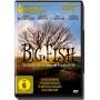 Jessica Lange, Billy Crudup, Miley Cyrus, Albert Finney, Ewa - Big Fish - Der Zauber, Der Ein [EURO-Version, Regio 2]