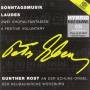 Gunther Rost - Das Orgelwerk Vol.3