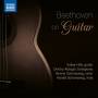 Volker Hh / Dmitry Ablogin / Verena Schoneweg - Beethoven on Guitar