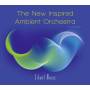 Bdi Siebert / The New Inspired Ambient Orche - Silent Music
