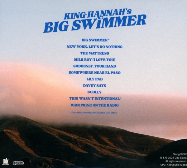 Big Swimmer 1