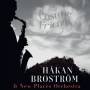Hkan Brostrm / New Places Orchestra - Cosmic Friends