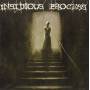 Insidious Process / Contourture - Split