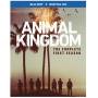 Animal Kingdom: The Complete First Season (2pc) - Animal Kingdom: The Complete First Season [US-Version, Regio 1/A]