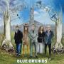 Blue Orchids - Magpie Heights