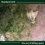 Standard Unit - Art Of Falling Apart
