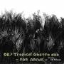 Dj Hikaru - Ok? Tropical Ghetto Dub - For Ariwa