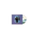 Nick Drake - Bryter Layter