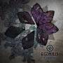 Egokills - Creation