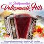 Various - 30 instrumentale Volksmusik Hits