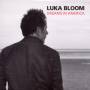 Luka Bloom - Dreams In America