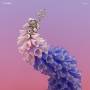 Flume - Skin (2LP+MP3,Clear Vinyl, 180g)