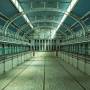 Fieldhead - Weve All Been Swimming
