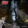 Saga - Symmetry