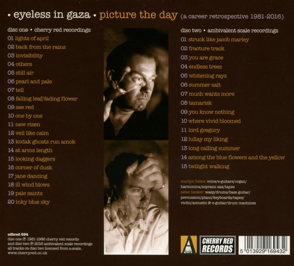Picture The Day-A Career Retrospective (2CD) 2