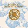 bobby Lee - Endless Skyways