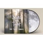 Beans On Toast - Wild Goose Chasers (Picture Disc)